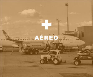 Também em parceria com empresas referência do setor, fazemos a integração com as principais companhias aéreas do país e por meio de uma plataforma via internet nossos clientes acompanham em tempo real suas remessas.